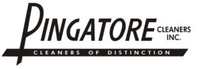 Pingatore Logo